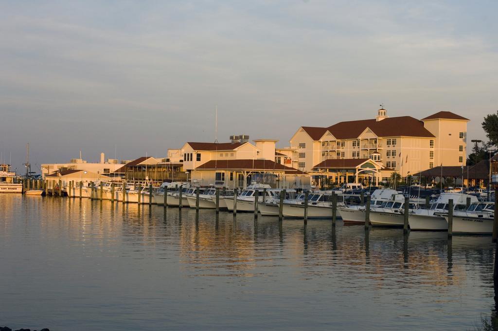 Resort Rod 'n' Reel 4*